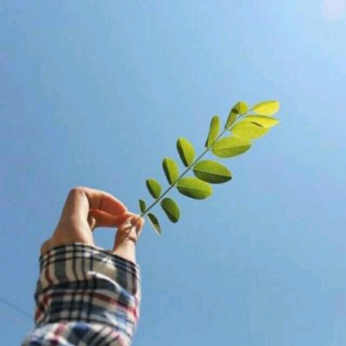 프로필 사진