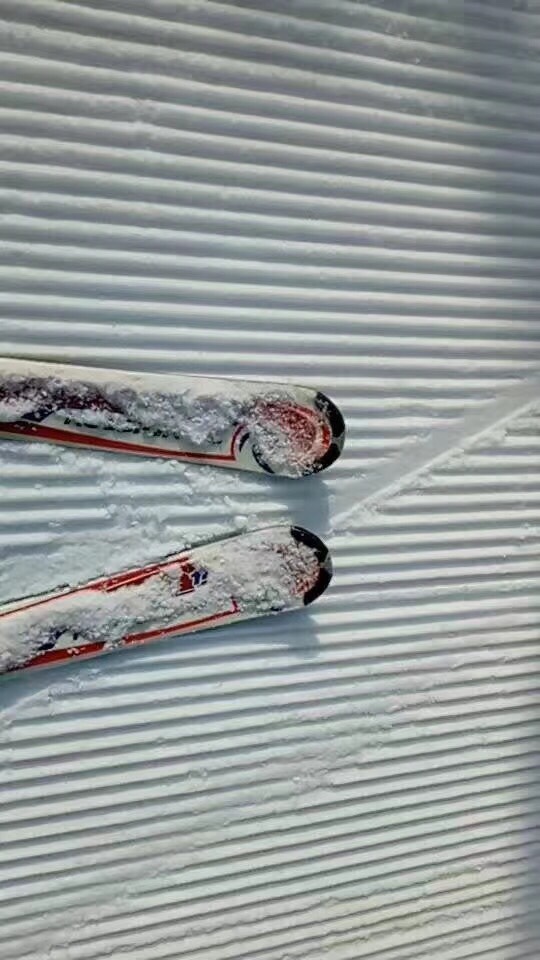 프로필 사진