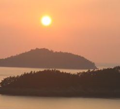 프로필 사진